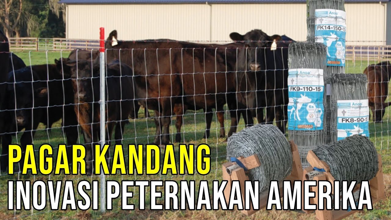 
                                 Inovasi-Pagar-Kandang-Ternak